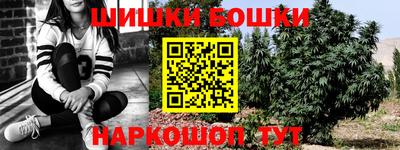стафф Донецк
