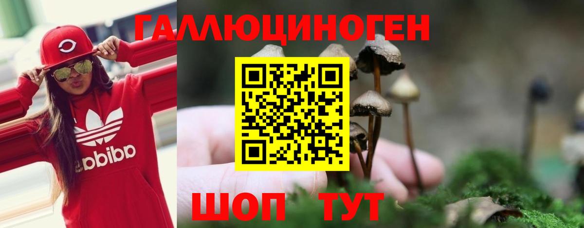 Галлюциногенные грибы Magic Shrooms Надым